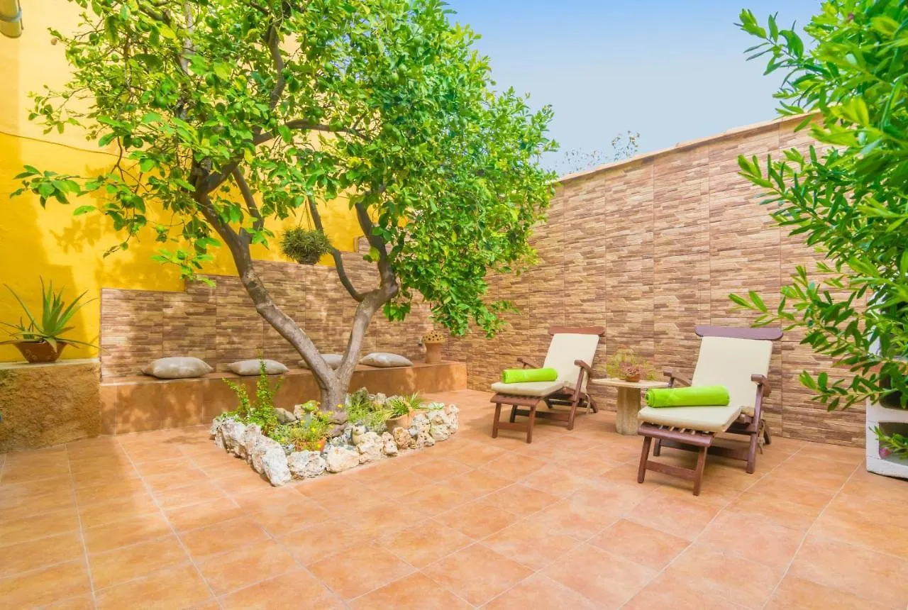 Sabatera Apartamento Inca